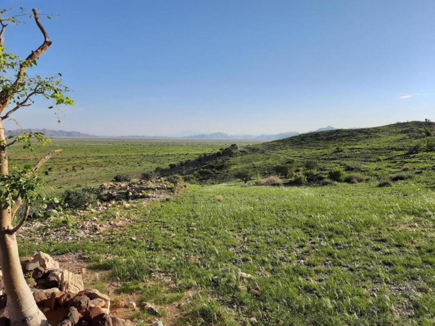 Camp Gecko - Private Nature Reserve; Tented Camp And Campsite Solitaire Eksteriør bilde