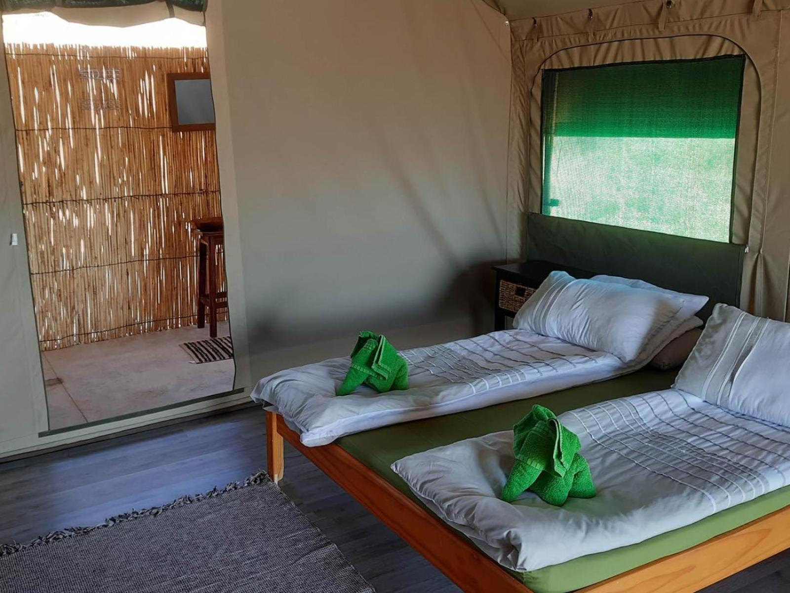 Camp Gecko - Private Nature Reserve; Tented Camp And Campsite Solitaire Eksteriør bilde